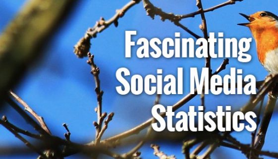 FascinatingSocialMediaStats